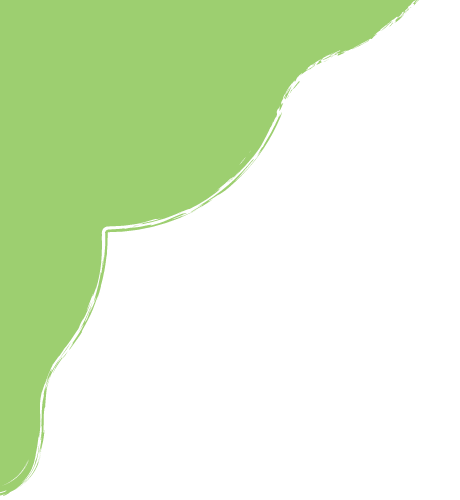 hand-drawn lime green wavy shape in top left corner