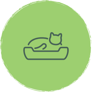 medical pet boarding icon