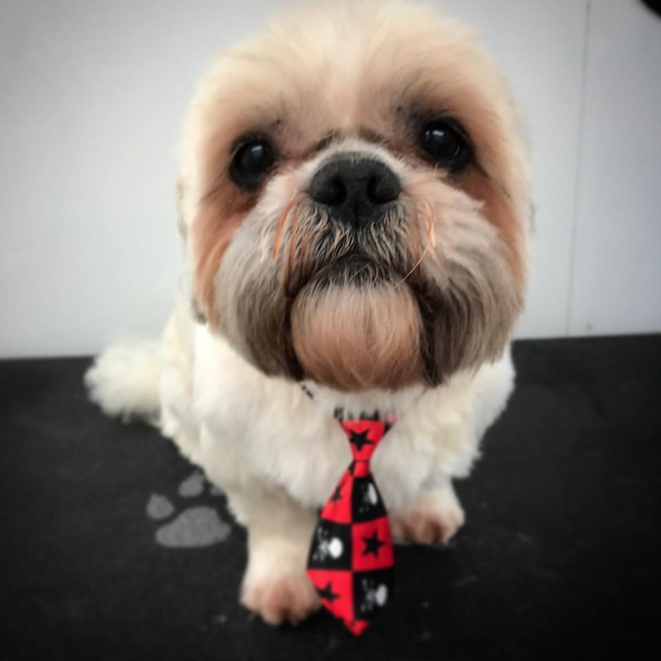 boy with a tie
