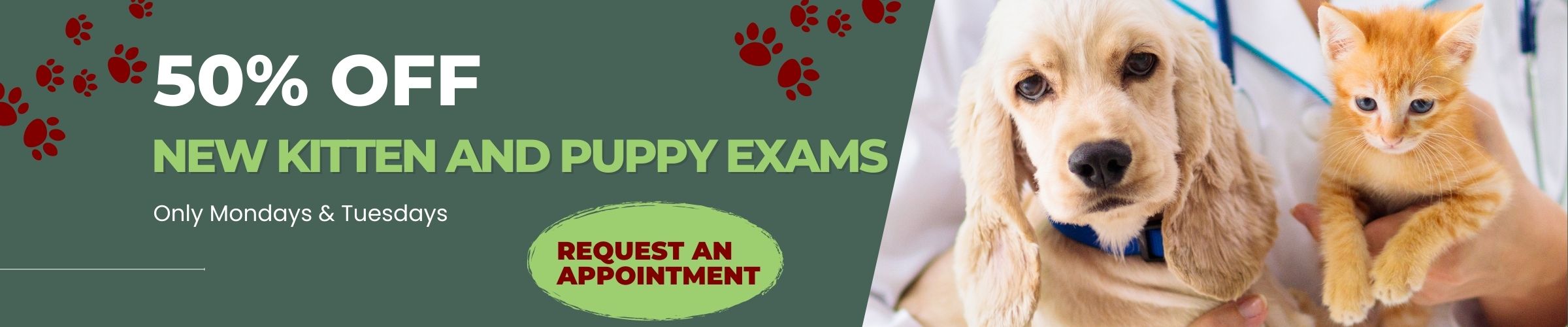 Banner - New Kitten and Puppy Exams - updated